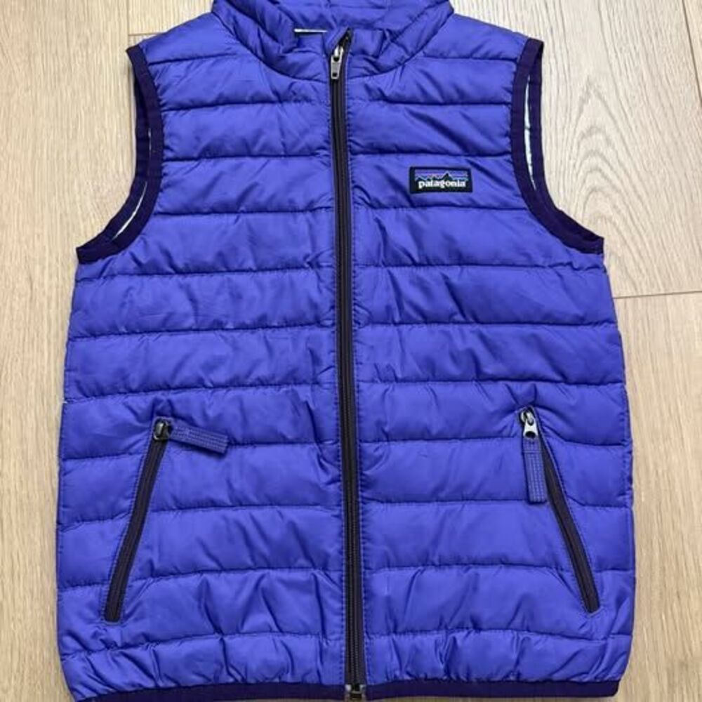 Patagonia Toddler Down Sweater Vest 4T
